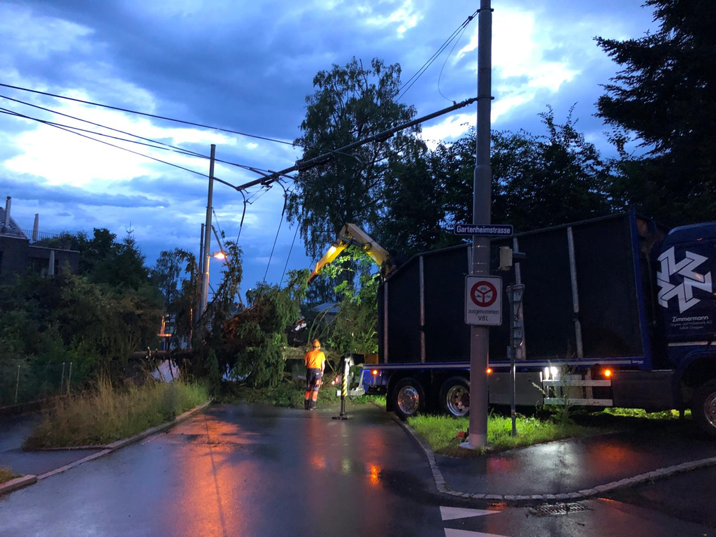 Baum reisst vbl-Fahrleitung herunter
