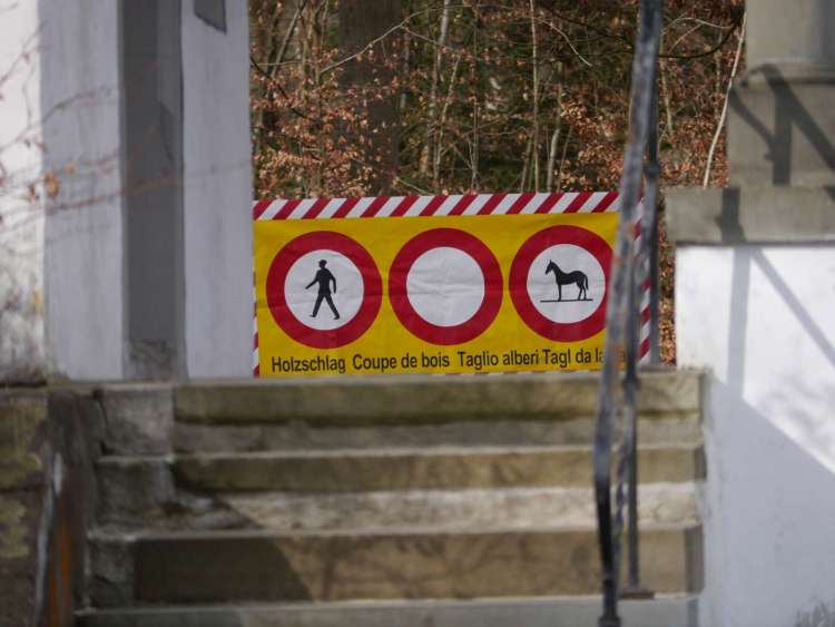 Holzschlag im Wesemlin-Wald: Die Spazierwege sind zeitweise gesperrt.